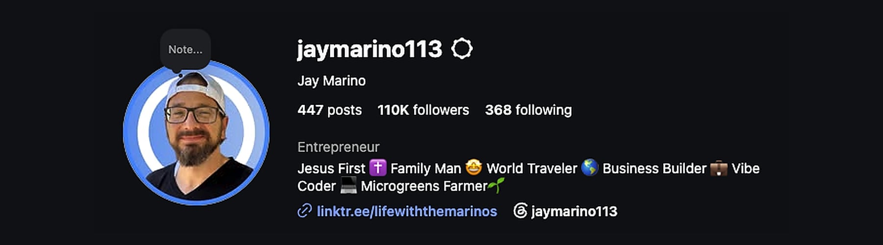 Instagram profile header for jaymarino113 showing profile picture, bio with 467 posts, 110K followers, and social media links